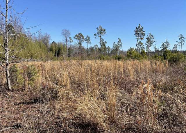 Property at TBD Tr 8-a Mincey Dr, Loris, SC 29569