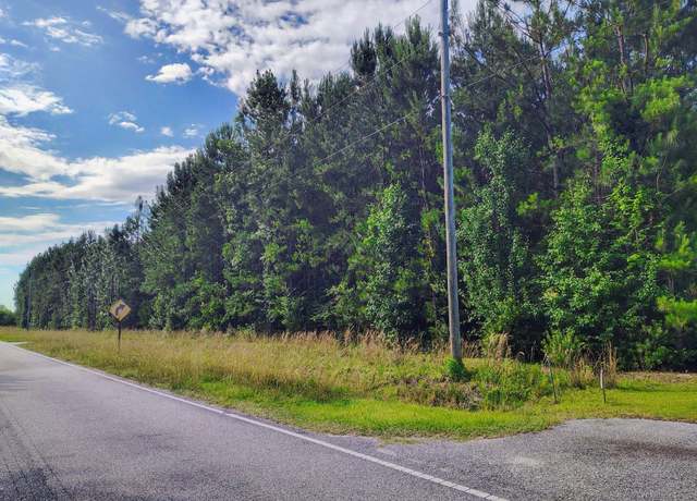 Property at TBD Boggy Branch Rd, Nichols, SC 29581