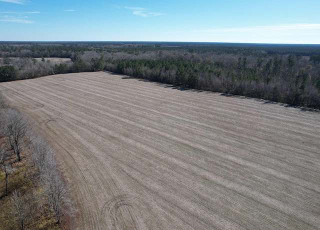Property at 36.19 Acres-TBD Big Woods Rd, Kingstree, SC 29556