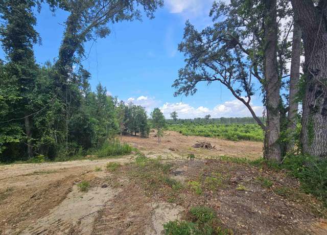 Property at 157 Mingo Chandler Rd, Nesmith, SC 29580