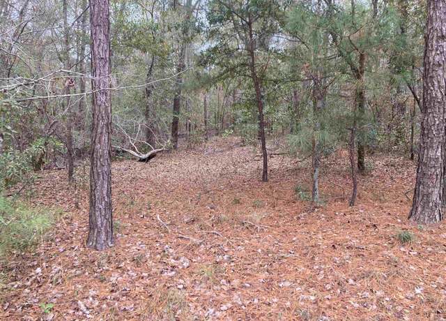 Property at TBD Persimmon Ford Rd, Johnsonville, SC 29555