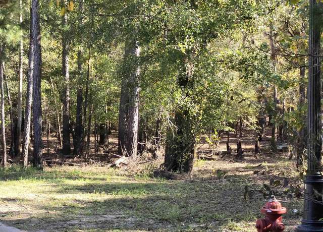 Property at 361 Cypress Flat Ct, Conway, SC 29526