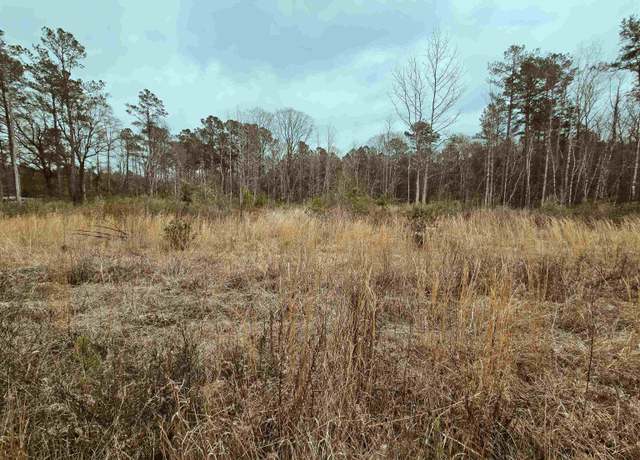 Property at TBD 4 Highway 66, Loris, SC 29569