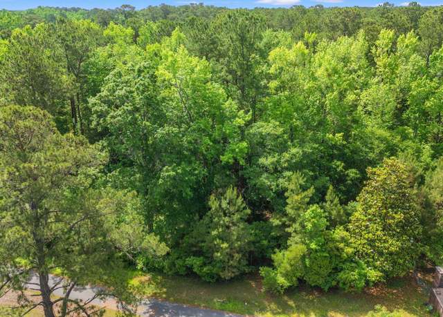 Property at TBD Duncan Ln, Conway, SC 29527