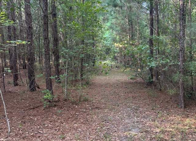Property at TBD Lot E-3 Godwin Prince Ct, Loris, SC 29569