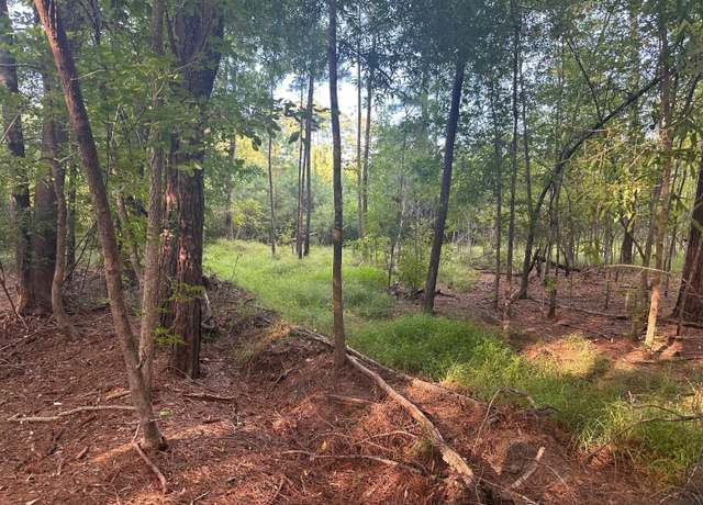 Property at TBD Lot E-4 Godwin Prince Ct, Loris, SC 29569