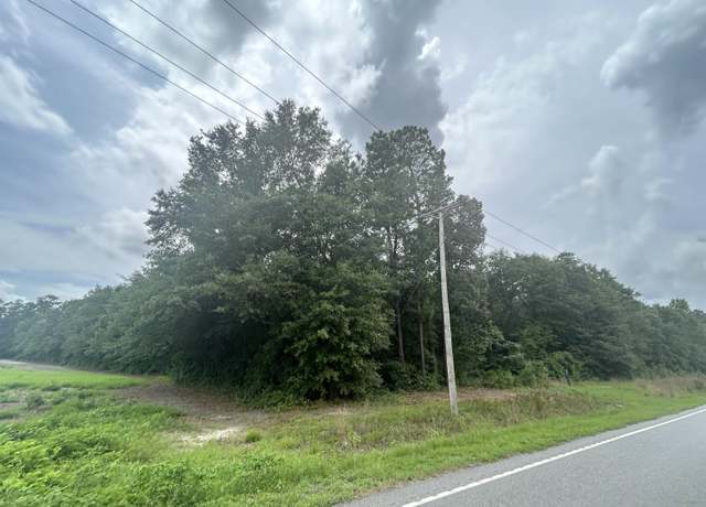 Property at TBD Lot #5 Highway 308, Galivants Ferry, SC 29544