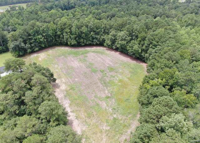 Property at TBD Lot #7 Highway 308, Galivants Ferry, SC 29544