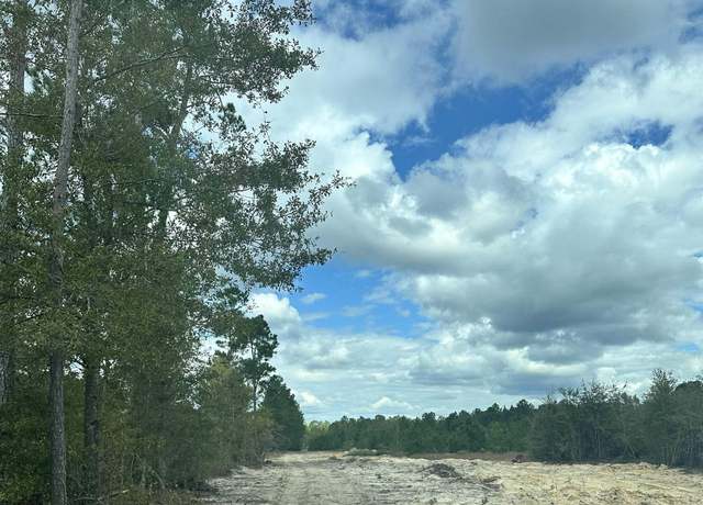 Property at 3369 Highway 430, Nichols, SC 29581