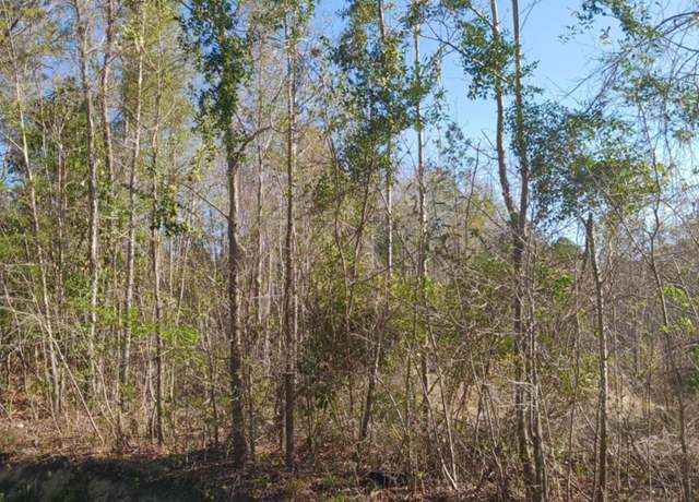 Property at TBD Fowler School Rd, Green Sea, SC 29545