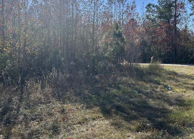 Property at TBD Apple Valley Rd, Loris, SC 29569