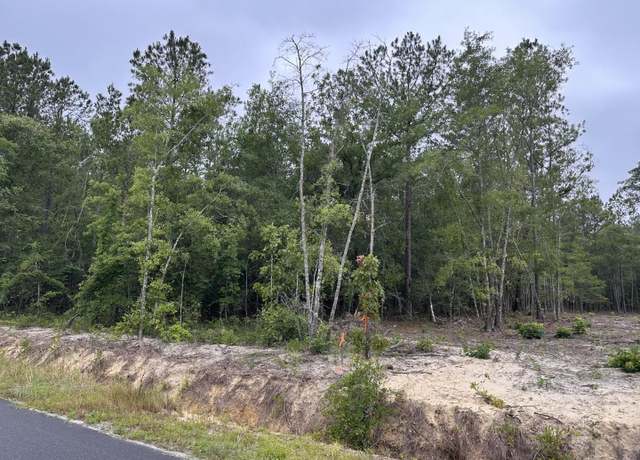 Property at 2-A Mcnabb Rd, Loris, SC 29569