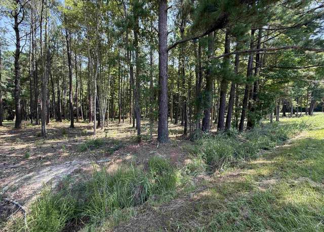 Property at Lot 3 Highway 668, Conway, SC 29526