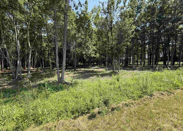 Property at Lot 4 Highway 668, Conway, SC 29526
