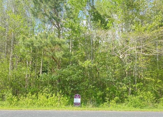 Property at TBD 2.3+/- Acres Highway 762, Loris, SC 29569