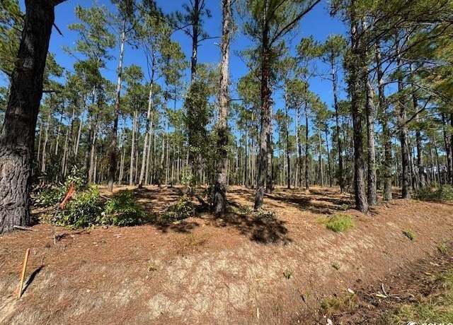 Property at TBD Lot 11 Hwy 319 Highway 319, Aynor, SC 29511