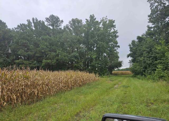 Property at 61.77 AC Marion Church Rd, Salters, SC 29590