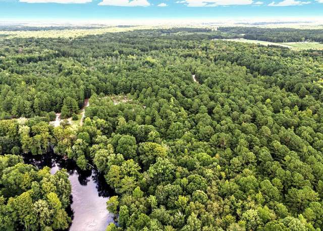 Property at TBD Vance Ln, Nichols, SC 29581