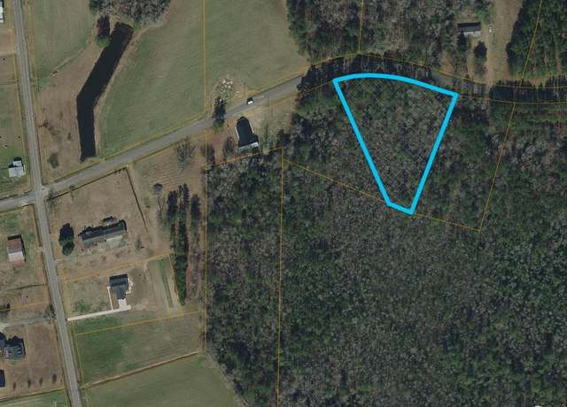 Property at TBD Long Branch Swamp Rd, Nichols, SC 29581