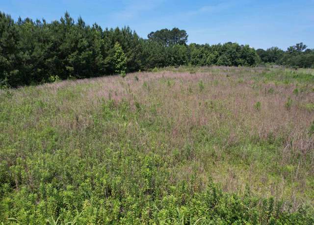Property at 3.7 Acres - TBD Marion Church Rd, Salters, SC 29590