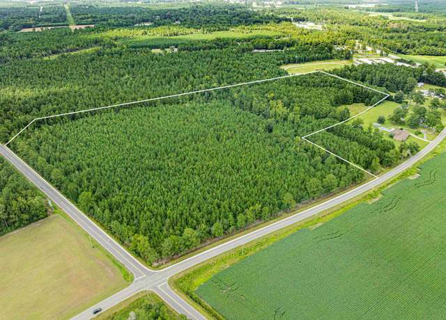 Property at TBD Joy Rd, Hemingway, SC 29554