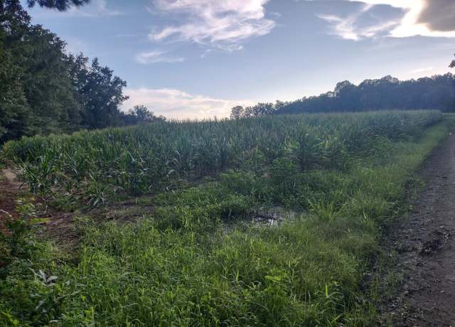 Property at TBD Beaver Rd, Hemingway, SC 29554
