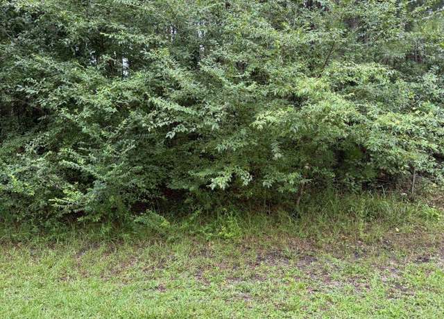 Property at TBD Louisville Rd, Aynor, SC 29511