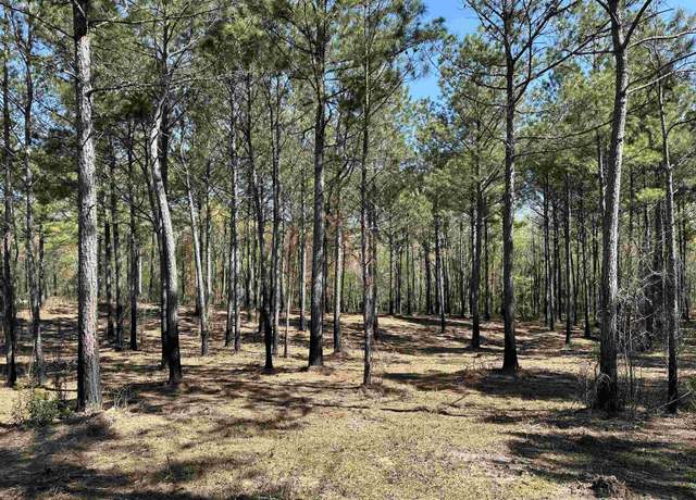 Property at LOT 6 Old Camp Ln, Salters, SC 29590