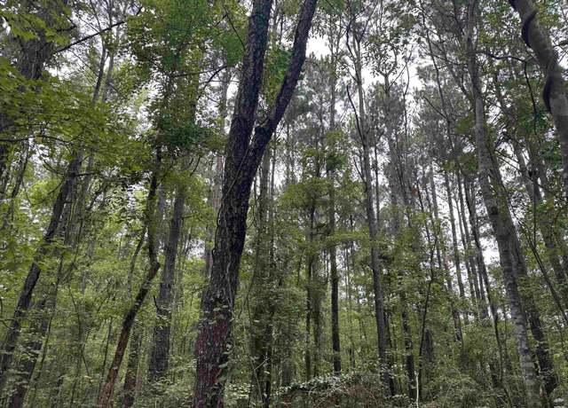 Property at 2 Acres-TBD Highway 41, Centenary, SC 29519