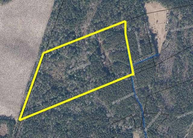 Property at TBD Thatchpalm Ct, Georgetown, SC 29440