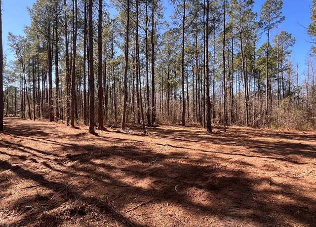 Property at 0 Goose Bay Rd, Loris, SC 29569