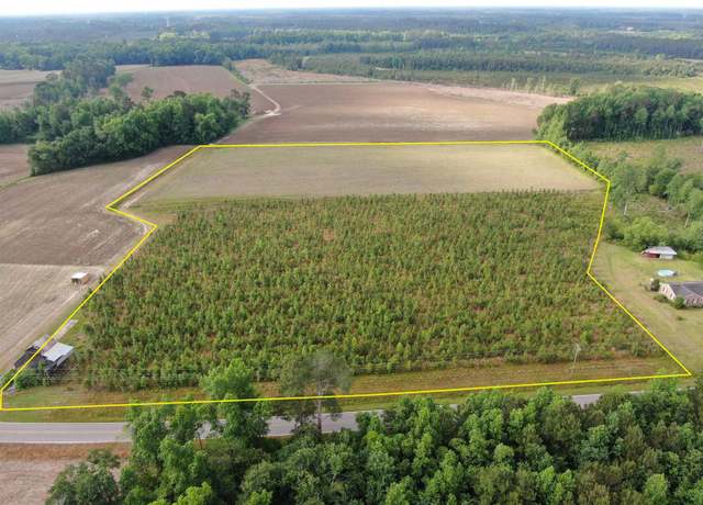 Property at TBD Highway 430, Nichols, SC 29581