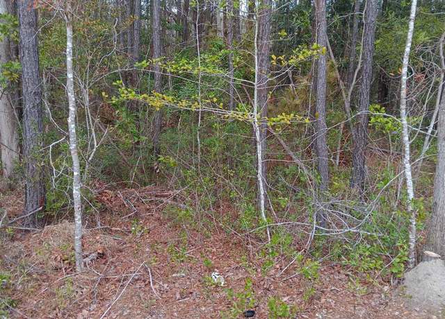 Property at TBD Sean River Rd, Conway, SC 29526