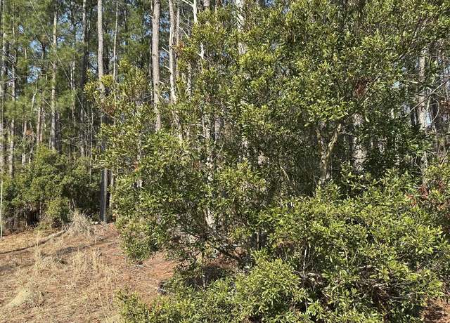 Property at TBD Bear Branch Ct, Longs, SC 29568