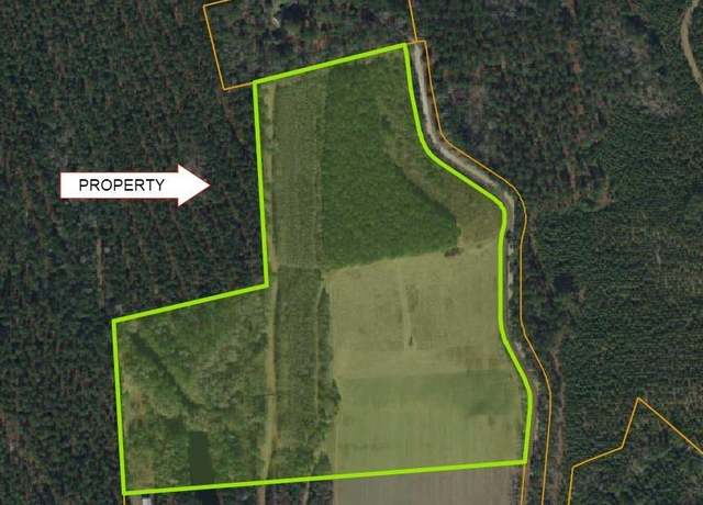 Property at TBD Womack Rd, Nichols, SC 29581