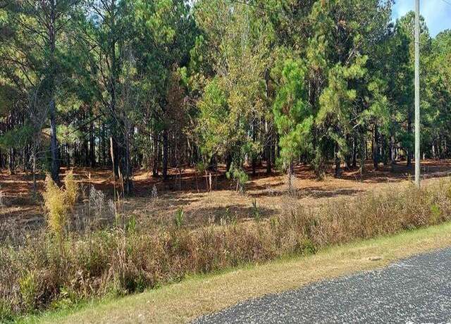 Property at 3029 Fowler Rd, Loris, SC 29569