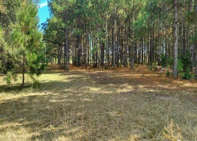 Property at 3025 Fowler Rd, Loris, SC 29569