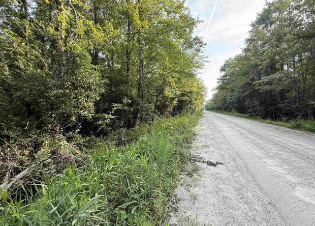 Property at TBD Wolf Pit Bay Rd, Nichols, SC 29581