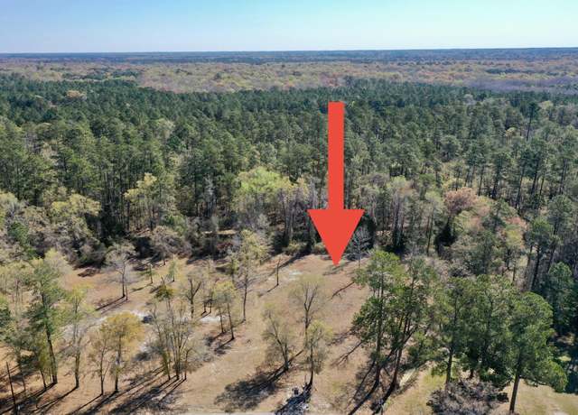 Property at TBD Nichols St, Nichols, SC 29581