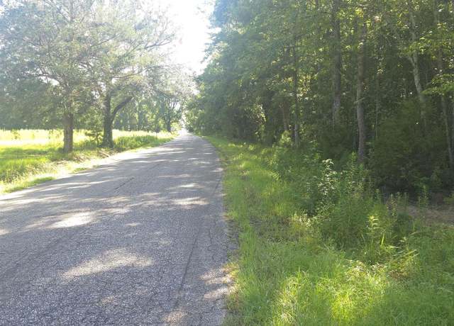 Property at TBD Tomahawk Rd, Hemingway, SC 29554