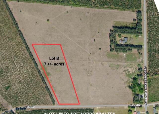 Property at Lot B Hill Rd, Bishopville, SC 29010