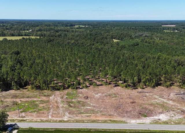 Property at TBD Tract 6 Highway 19, Nichols, SC 29581