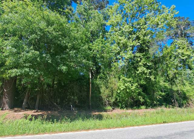 Property at TBD Bucksport Rd, Conway, SC 29527