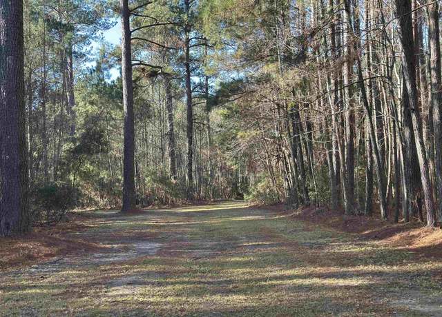 Property at TBD Highway 521, Andrews, SC 29510