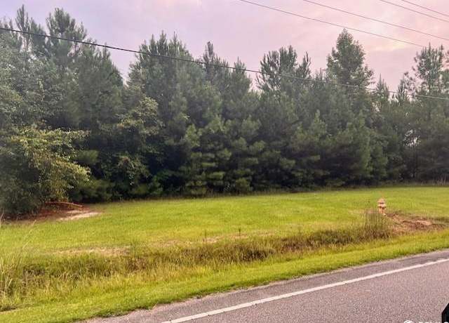 Property at 3991 Lot 2 Highway 813, Conway, SC 29526
