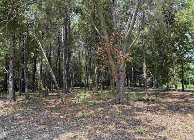 Property at TBD Lot 8 S Rosemary Ave, Andrews, SC 29510