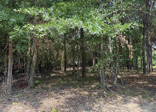 Property at TBD Lot 9 S Rosemary Ave, Andrews, SC 29510