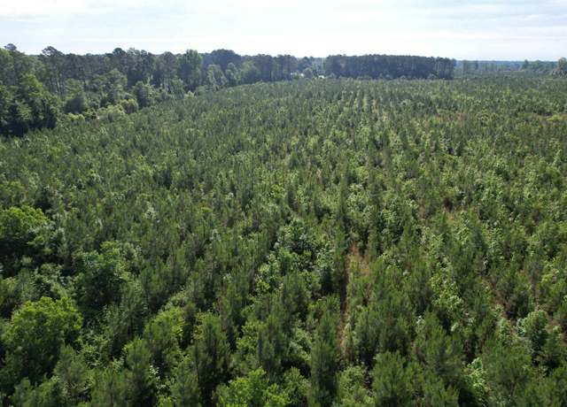 Property at 20 Acres - TBD Highway 260, Manning, SC 29102
