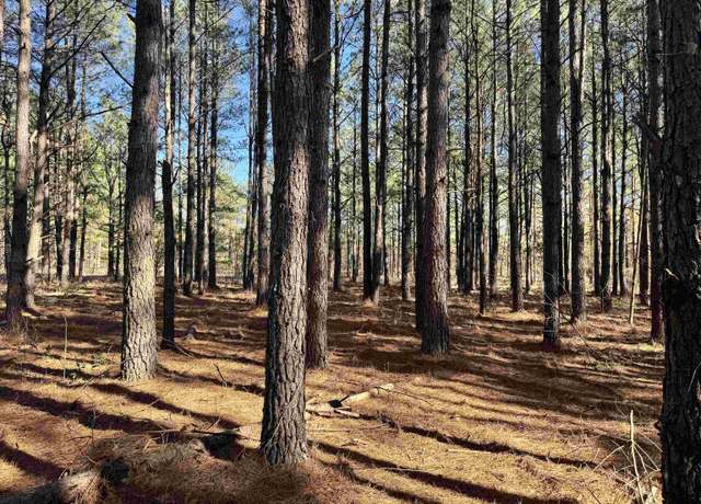 Property at TBD Copeland Moody Rd, Marion, SC 29571