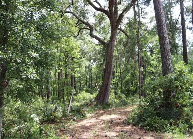 Property at 1030 Lot 46 Lantana Circle Lantana Cir, Georgetown, SC 29440